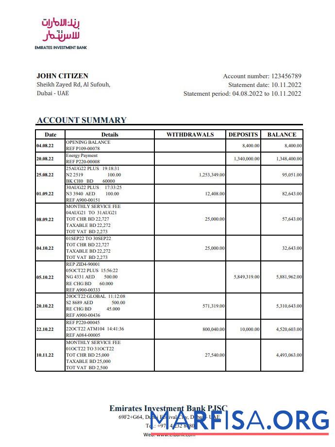 Realistic UAE Emirates Investment bank statement excel example